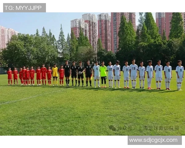 上海足球队在精英赛中的灵活性表现分析与战术探讨 上海足球队在精英赛中的灵活性表现分析与战术探讨