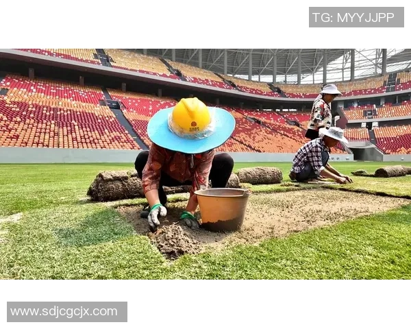 成都足球队在世界杯中的表现分析与状态评估 成都足球队在世界杯中的表现分析与状态评估