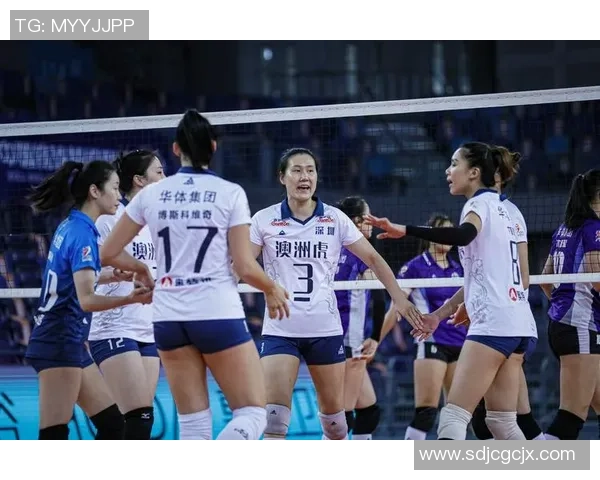 深圳排球队实力变革引发热议展望未来发展新机遇