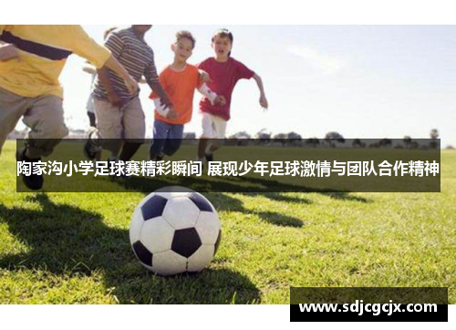 陶家沟小学足球赛精彩瞬间 展现少年足球激情与团队合作精神