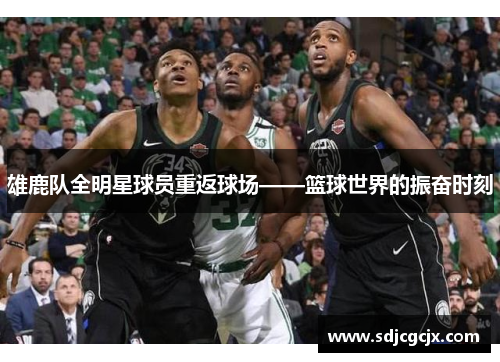 雄鹿队全明星球员重返球场——篮球世界的振奋时刻