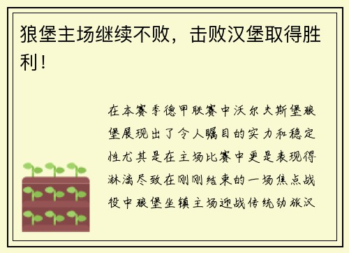 狼堡主场继续不败，击败汉堡取得胜利！
